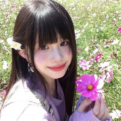 隐秘的莲花 海报